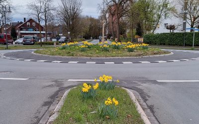 Avenwedde-Bhf blüht auf