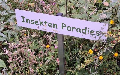 Dorfspaziergang 31.07.2024