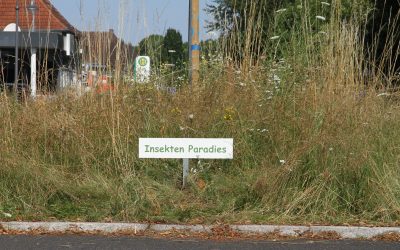Insekten Paradies am Kreisverkehr