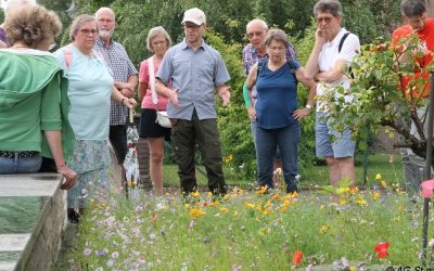 Rückblick auf den Dorfspaziergang 31.07.2024