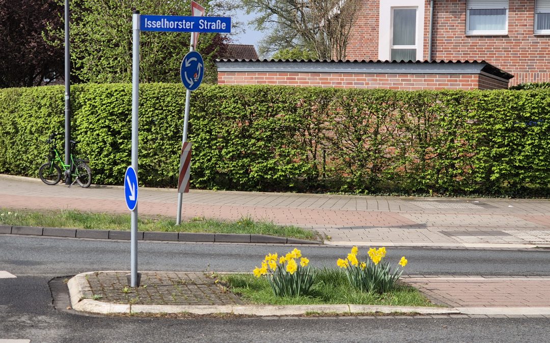 Ergebnis der Pflanzaktion 2024