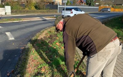 Pflanzaktion (es summt und blüht)