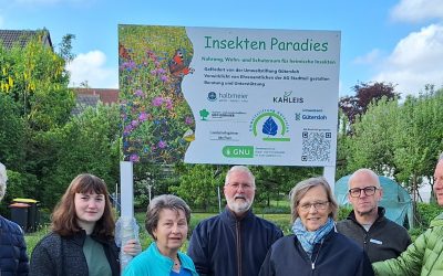 Engagement für Insektenvielfalt