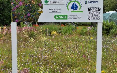 Einladung zum 2. Dorfspaziergang